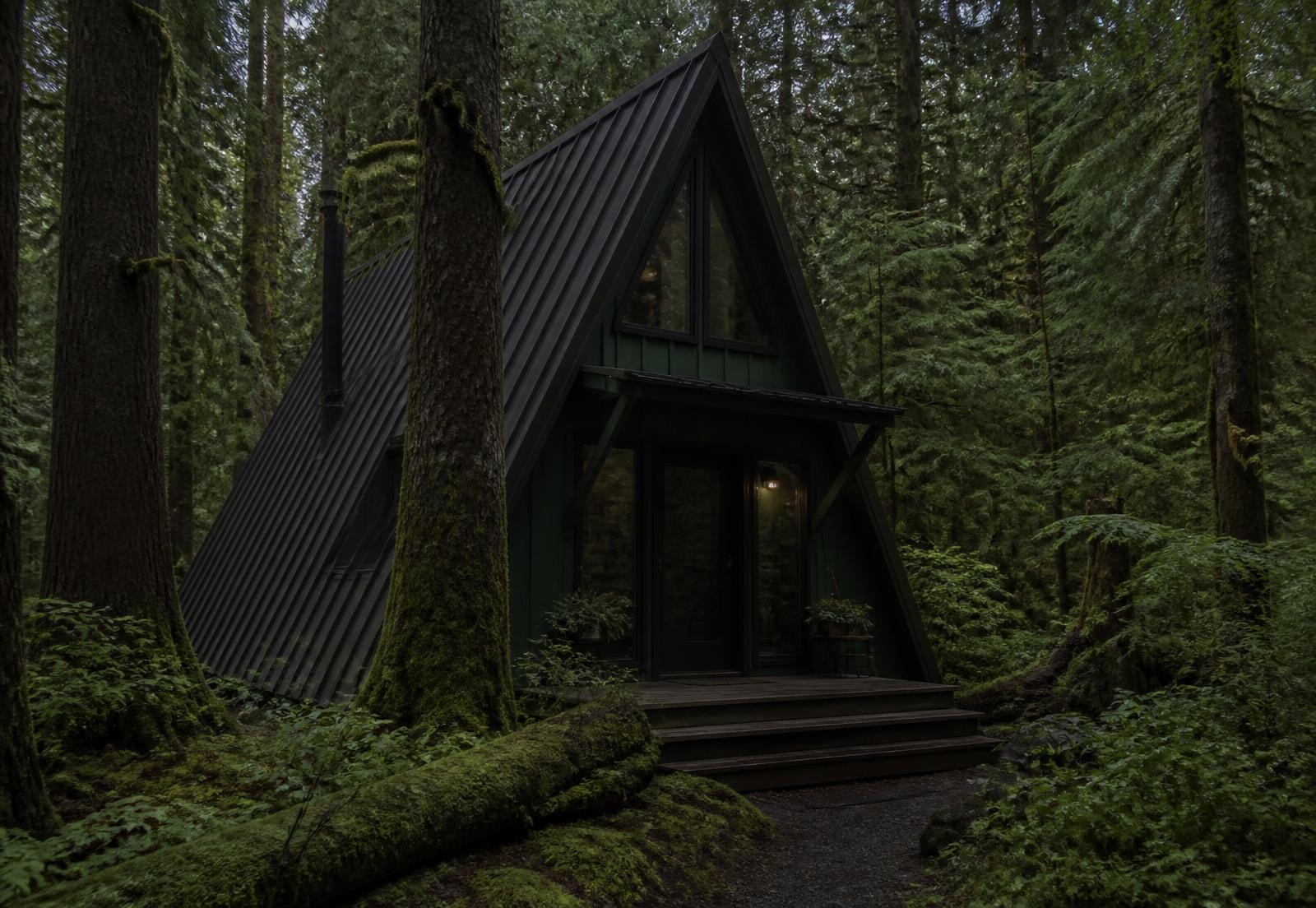 A dark green A-frame cabin deep in a mossy spruce forest