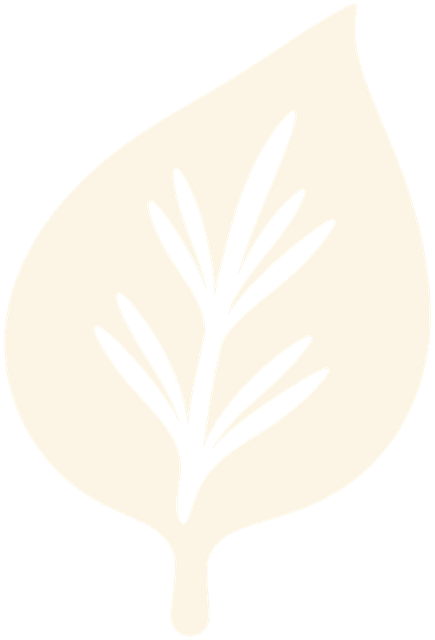 Spruce & Birch sample brand logo